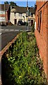 SO8005 : Weeds at the edge of Verdun Court, Stonehouse by Jaggery