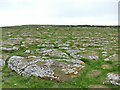 SD9970 : Limestone pavement above Conistone by Stephen Craven