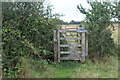 ST3383 : Gated footbridge between grass fields by M J Roscoe