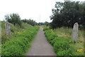 ST3383 : 'Dragonfly wings', Newport Wetlands NNR by M J Roscoe