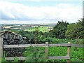 NZ1054 : Looking over the valley from partway up Whinny Lane by Robert Graham