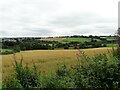 NZ0748 : Fields beside Healeyfield Lane by Robert Graham