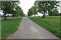 SP1524 : Tree lined avenue in Eyford Park by Philip Jeffrey