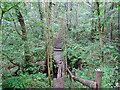 SK2182 : Footpath steps climbing out of Hurst Clough by Ian Calderwood