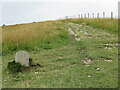 SZ0481 : Start of the Purbeck Way, near Ballard Point, Swanage by Malc McDonald