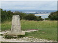 SZ0481 : Trig point near Swanage by Malc McDonald