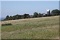 TQ3013 : Jack Windmill from near New Barn Farm by Stephen McKay