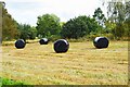 SO8060 : Bales of hay in field, Monkswood Green, Worcs by P L Chadwick