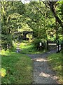 SH6504 : Path to Dolgoch station and falls by Richard Hoare