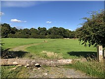  : Footpath Across Billy Jeans Campsite by David Robinson