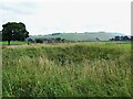 SK1355 : Old dew pond by Millway Lane by Ian Calderwood