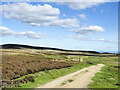 SE0793 : Hill road near Smithy Hill by Trevor Littlewood