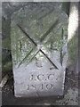 SX4655 : Old Boundary Marker in Victoria Park, Plymouth by T Jenkinson