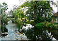 SK8969 : The southern part of the Fishpond, Doddington Hall estate by Humphrey Bolton