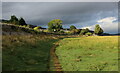 SD4076 : Beside the Salt Marsh approaching Grange-over-Sands by Chris Heaton