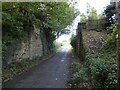 NX9982 : Abutments from disused railway near Amisfield by Russel Wills