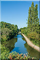 SP3481 : Coventry Canal by Ian Capper