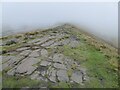 SO0119 : Path on Rhiw yr Ysgyfarnog by Philip Halling