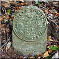 SU8933 : Marker stone, Stoatley Hollow by Ian Taylor