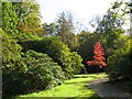 SE2753 : Autumn colour at Harlow Carr Gardens, Harrogate by Malc McDonald