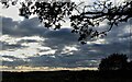 TQ7416 : View of 1066 battlefield from Sedlescombe by Patrick Roper