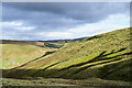 NX3492 : Grooved slope, part of Rowantree Hill by Trevor Littlewood