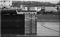 J3676 : The Building Dock Gate, Belfast by Rossographer