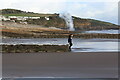 SN1607 : Groynes, Amroth Beach by M J Roscoe