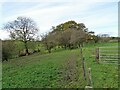 NZ0948 : Rough pasture at Middle Heads by Robert Graham