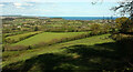 SX9379 : Countryside north of Dawlish by Derek Harper