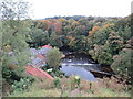 SE3456 : Autumn on the River Nidd, Knaresborough by Malc McDonald