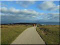 SZ1790 : Walkers on the path by Anthony Vosper