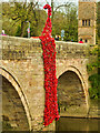 SD7605 : Poppy Cascade on Ringley Old Bridge by David Dixon