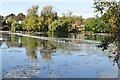 ST1879 : Cardiff - Roath Park Lake by Colin Smith