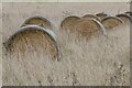 SO8844 : Hay bales in Croome Park by Philip Halling