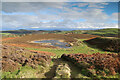 SH9168 : Peaty pond on Moel Unben by Andy Waddington