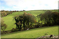 SH9267 : Looking across Nant Barrog by Andy Waddington