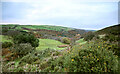 SH8871 : Above the byway to Pant-y-clyd by Andy Waddington