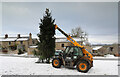 NZ0314 : Late snow, early tree, Boldron by Andy Waddington