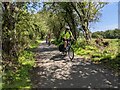 SZ5685 : Cyclists riding on the Red Squirrel Trail, travelling west by Calum Rogers