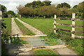 SW9475 : Cattle grid near Shalmar Hollow by Derek Harper