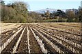 SO4975 : Stubble field near Priors Halton by Philip Halling