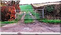 NY3947 : Gateway to field with small woodland on SE side of road at Bird's Hill by Roger Templeman