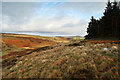 NZ0423 : The misfit stream of Arn Gill by Andy Waddington