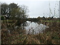 SJ9387 : North-east side of the moat at Broadoak Farm, Torkington by Christine Johnstone