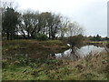 SJ9387 : Eastern corner of the moat at Broadoak Farm, Torkington by Christine Johnstone