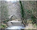 NZ1055 : The old bridge at Ebchester by Robert Graham