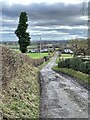 SJ4015 : Lane leading east out of Shrawardine by Andrew Shannon