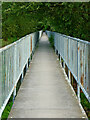 SJ9422 : Raised walkway across the River Penk near Stafford by Roger  D Kidd