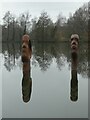 SY7891 : Sculpture by the lakes - Iron heads by Rob Farrow